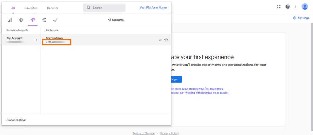How to get your Goolge Optimize Container ID?