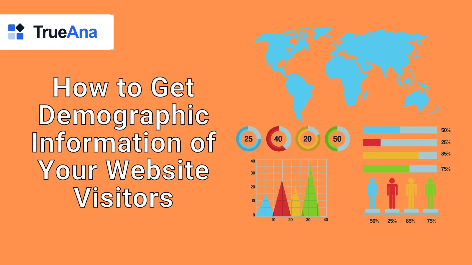 How to Get Demographic Information of Your Website Visitors